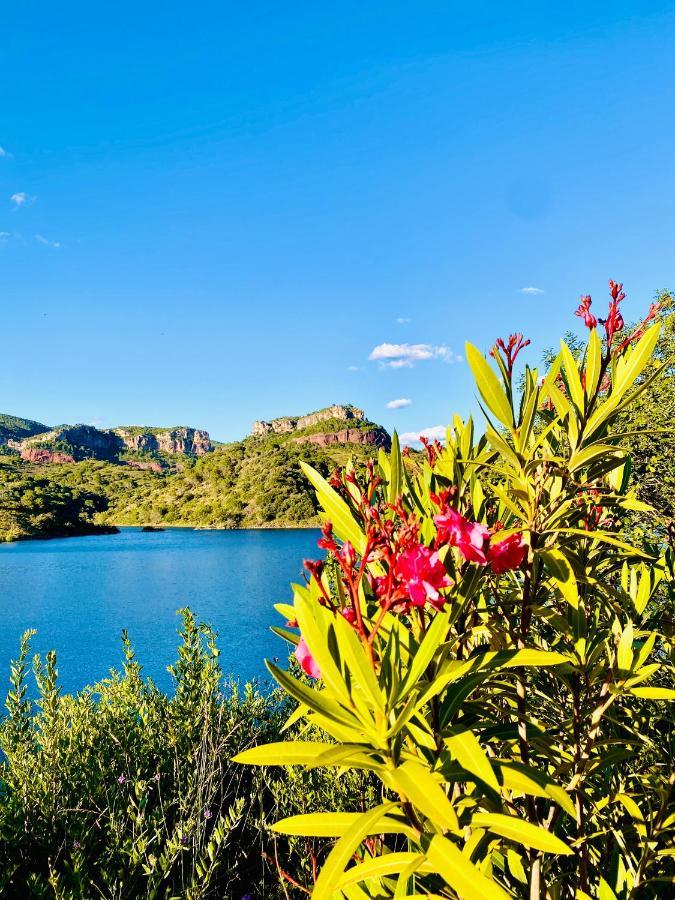 Apartaments Chenin Blanc-Priorat- Cornudella de Montsant Esterno foto